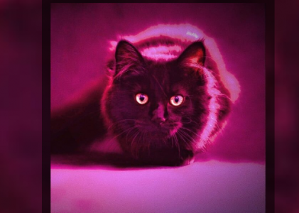 INTERVIEW: ‘Don Aapo’ releases new single ‘Intensity’ and speaks to Premiere One.